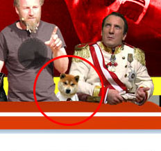 Spieleshow-Hund